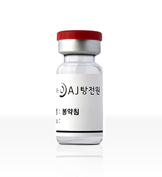 약침